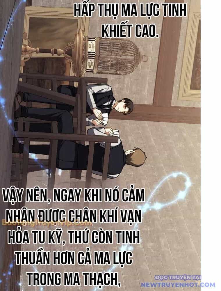 Sát Thủ Tái Sinh Thành Một Kiếm Sĩ Thiên Tài - Chương 59 - ảnh 300