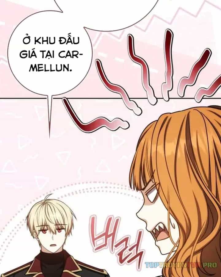 Sát Thủ Tái Sinh Thành Một Kiếm Sĩ Thiên Tài - Chương 81 - ảnh 5