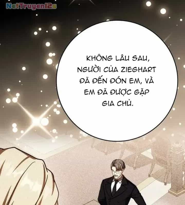 Sát Thủ Tái Sinh Thành Một Kiếm Sĩ Thiên Tài - Chương 90 - ảnh 92
