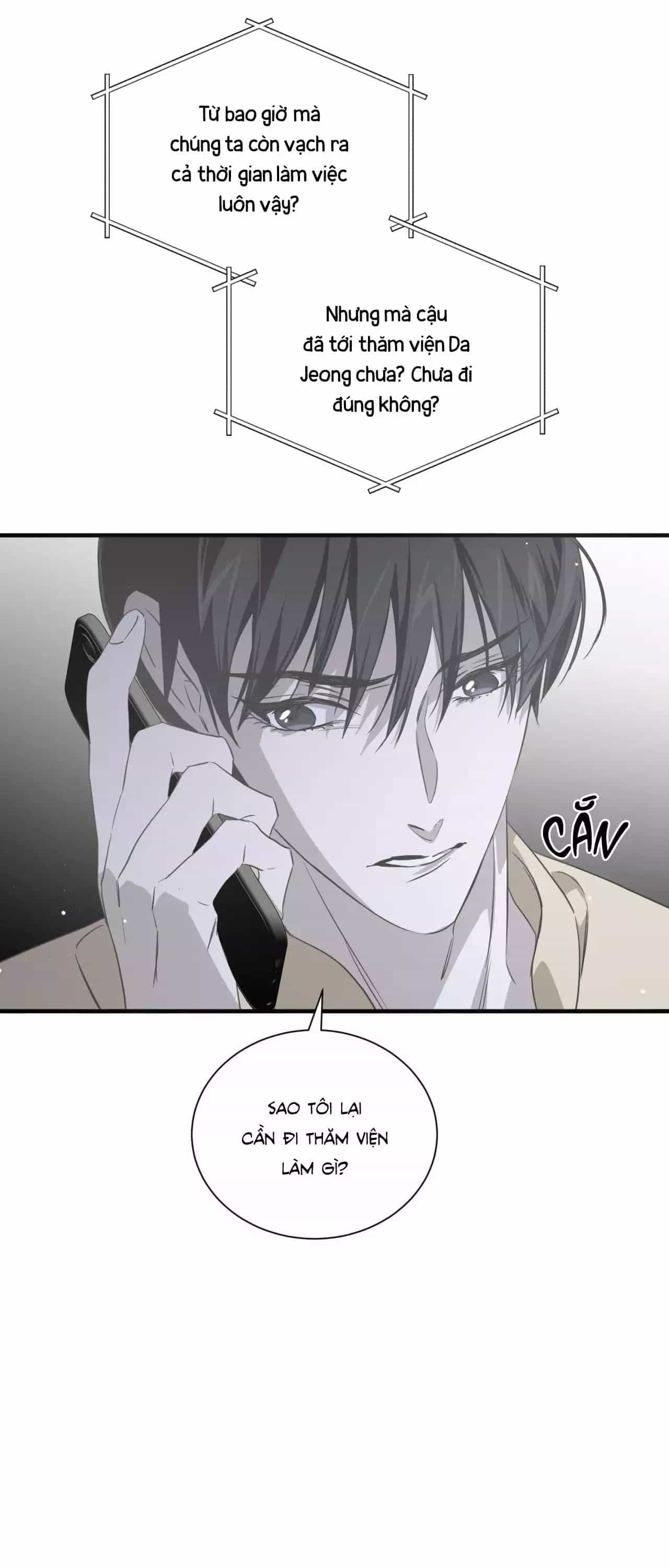 Sau Ánh Hào Quang - Chương 28 - ảnh 11