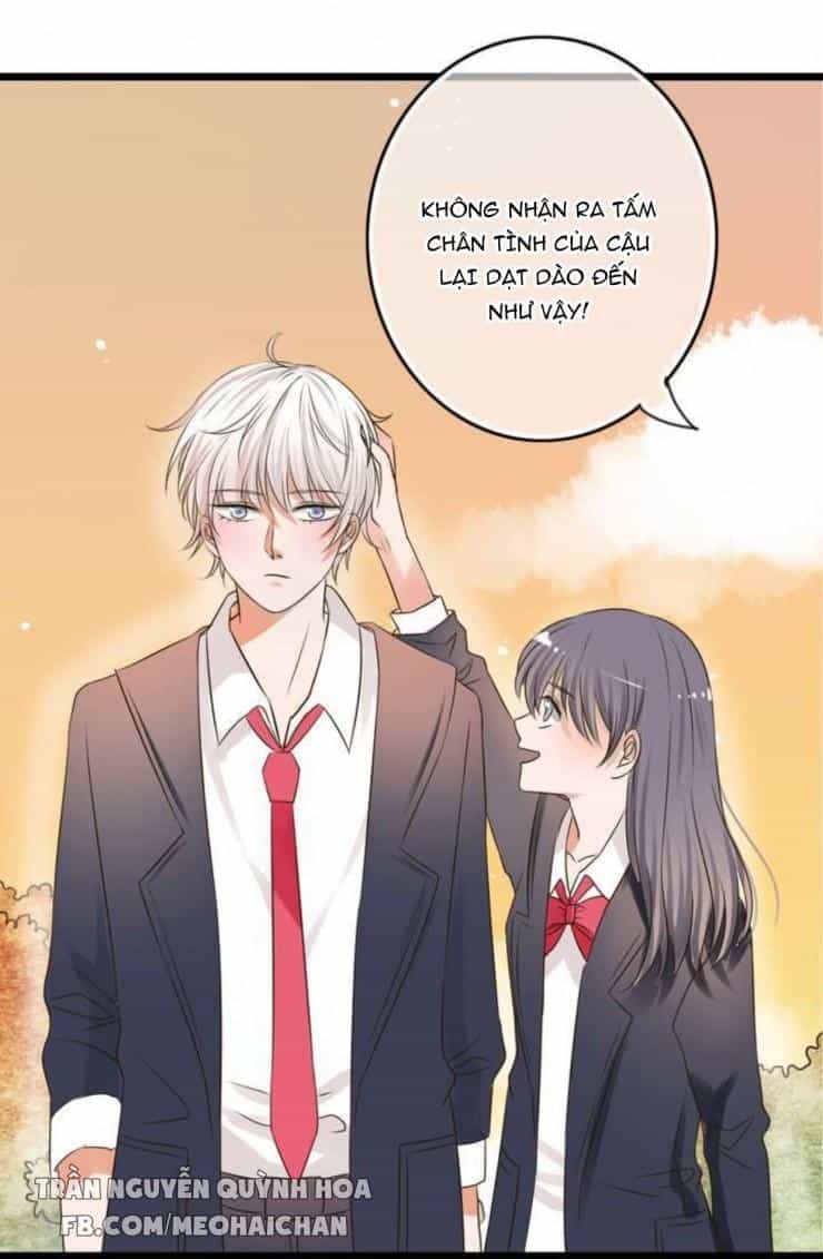 Sau Con Mưa Mùa Hạ - Chương 4 - ảnh 8