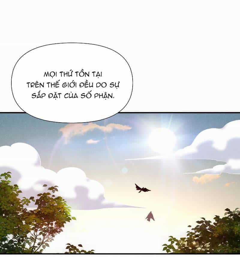 Sau Khi Bị Ốc Sên Truy Sát - Chương 29 - ảnh 44
