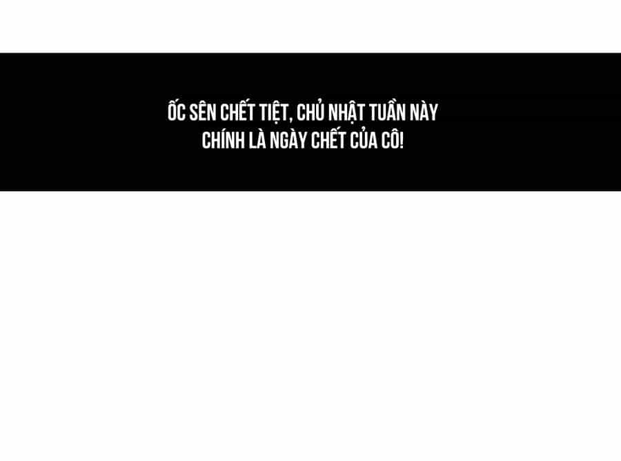 Sau Khi Bị Ốc Sên Truy Sát - Chương 7 - ảnh 65