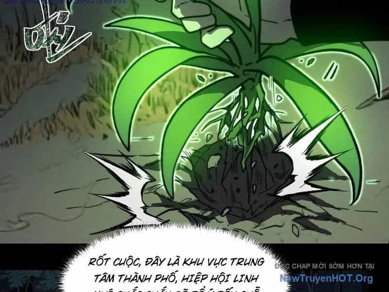 Sau Khi Chia Tay Hoa Khôi, Võ Đạo Của Ta Thẳng Tới Cấp Thần - Chương 15 - ảnh 24