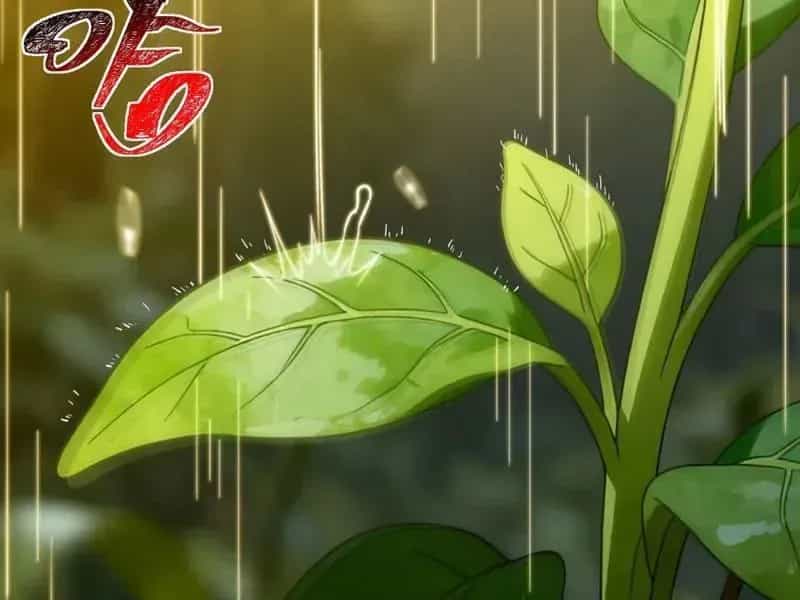 Sau Khi Chia Tay Hoa Khôi, Võ Đạo Của Ta Thẳng Tới Cấp Thần - Chương 69 - ảnh 206