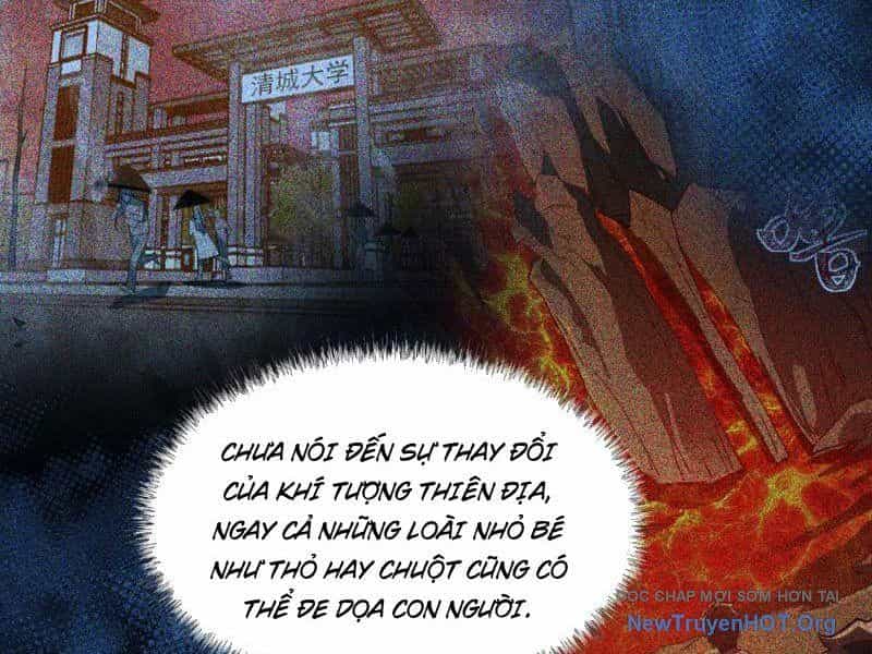 Sau Khi Chia Tay Hoa Khôi, Võ Đạo Của Ta Thẳng Tới Cấp Thần - Chương 7 - ảnh 37