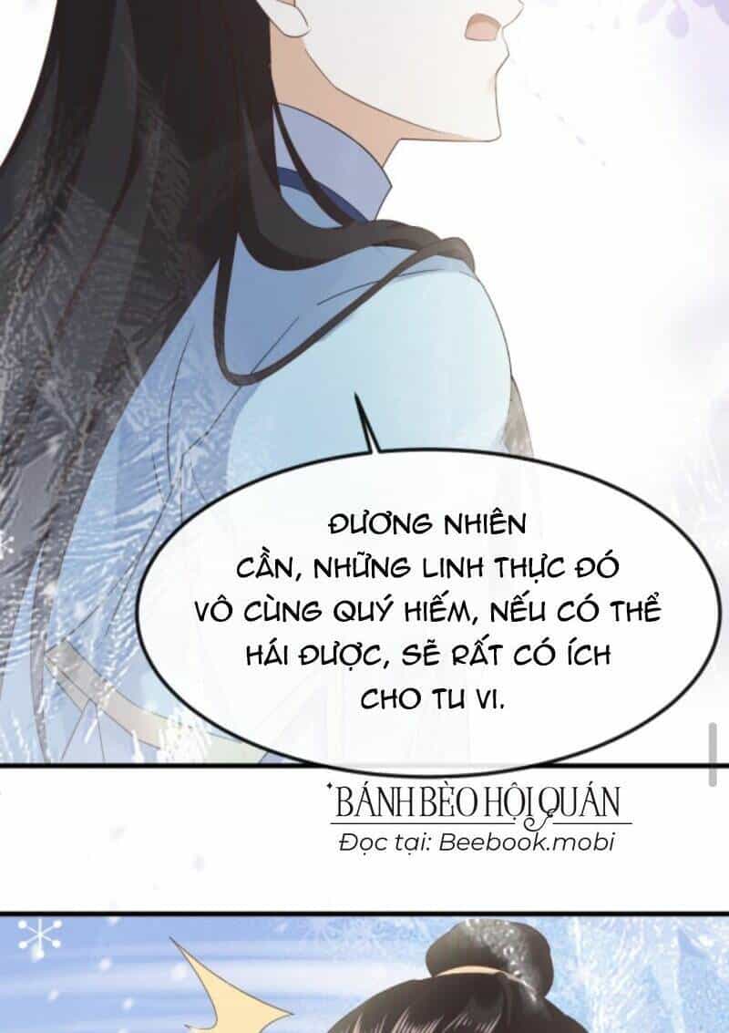 Sau Khi Không Ngừng Tìm Đường Chết, Ta Trở Thành Đế Tôn Vạn Người Mê - Chương 42 - ảnh 22
