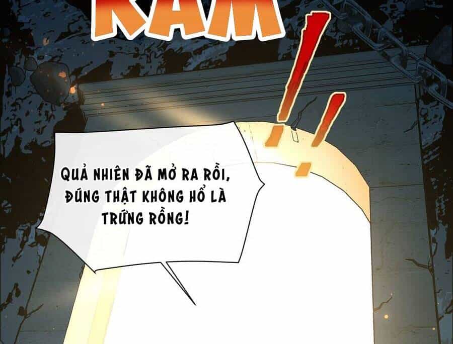 Sau Khi Nhặt Được Trứng Rồng, Ta Quyết Định Nuôi Hắn Trở Nên Xấu Xa - Chương 1 - ảnh 14