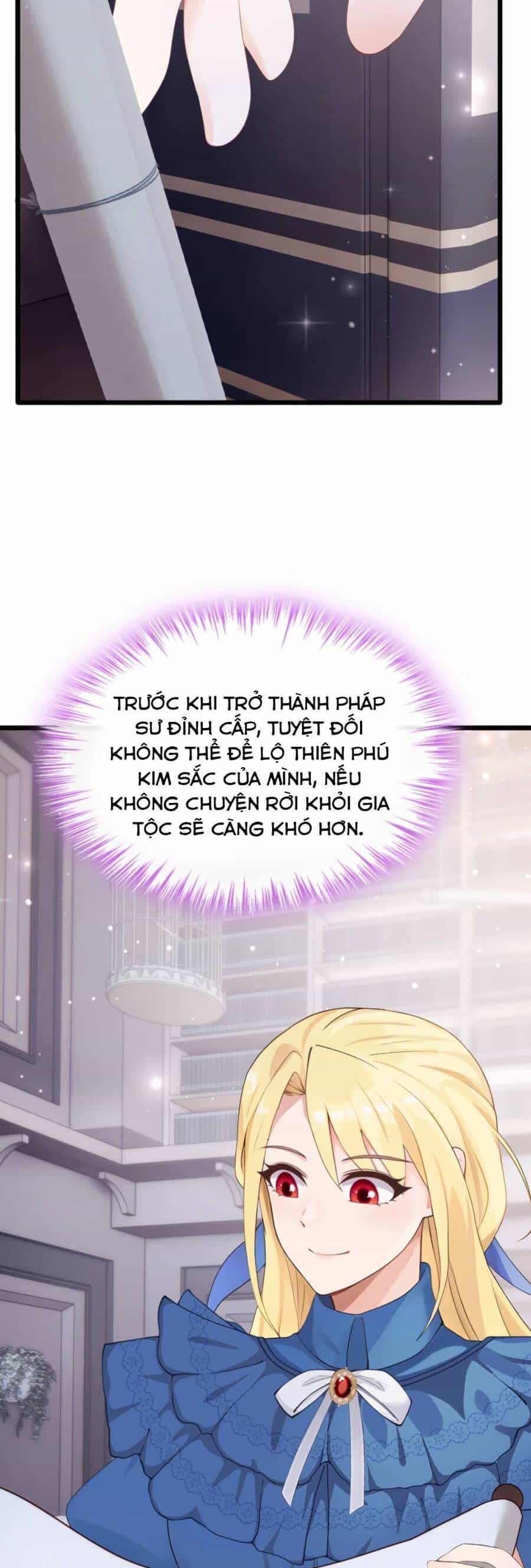 Sau Khi Nhường Lại Thiên Phú, Ta Trở Thành Bảo Bối Của Giới Pháp Thuật - Chương 14 - ảnh 11