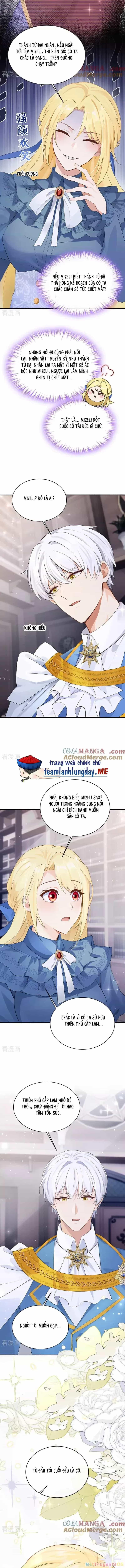 Sau Khi Nhường Lại Thiên Phú, Ta Trở Thành Bảo Bối Của Giới Pháp Thuật - Chương 17 - ảnh 2