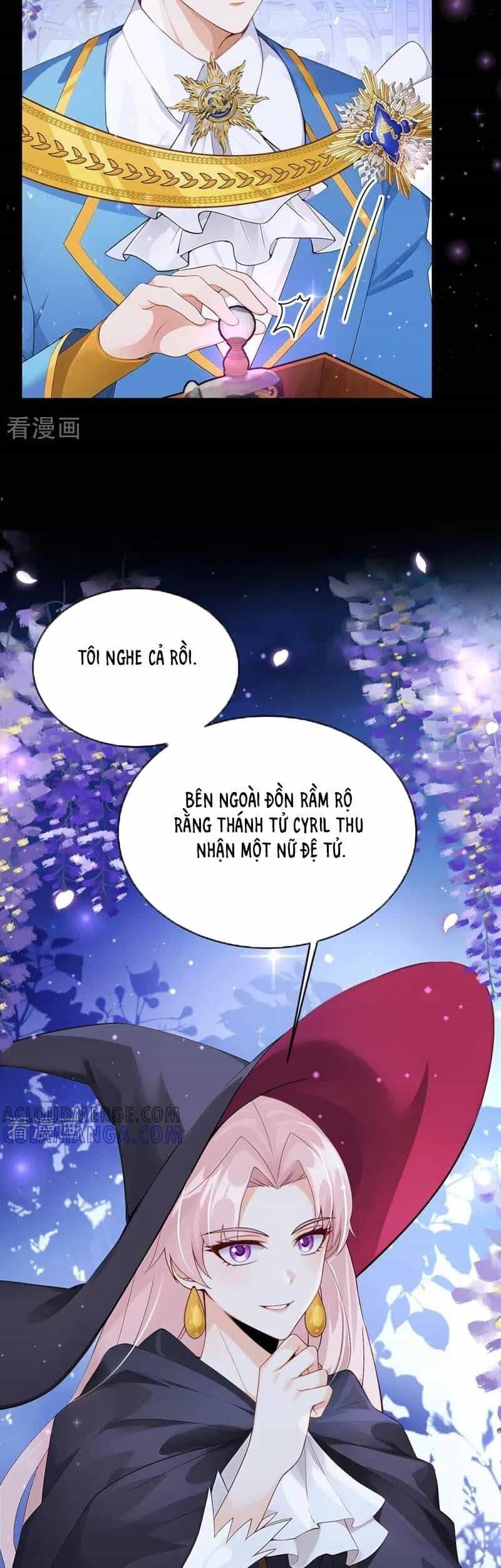 Sau Khi Nhường Lại Thiên Phú, Ta Trở Thành Bảo Bối Của Giới Pháp Thuật - Chương 30 - ảnh 5
