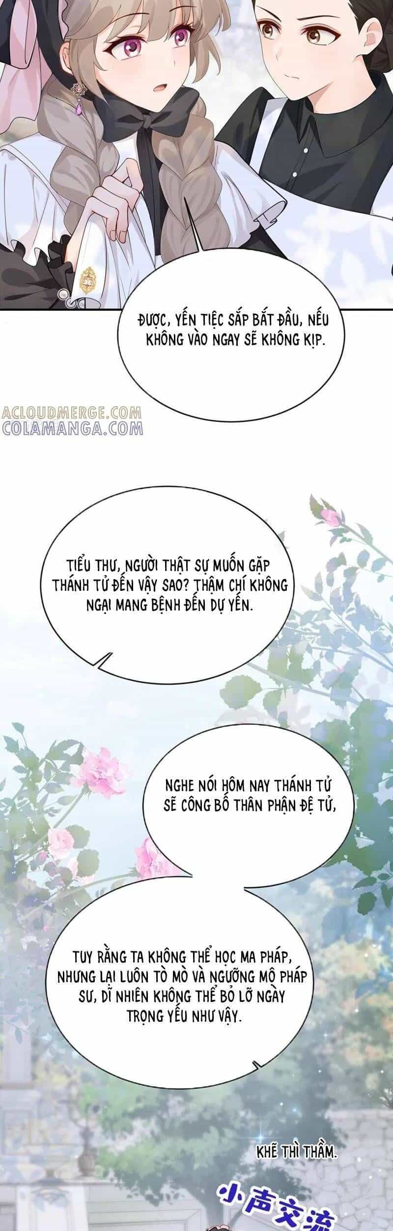Sau Khi Nhường Lại Thiên Phú, Ta Trở Thành Bảo Bối Của Giới Pháp Thuật - Chương 40 - ảnh 22