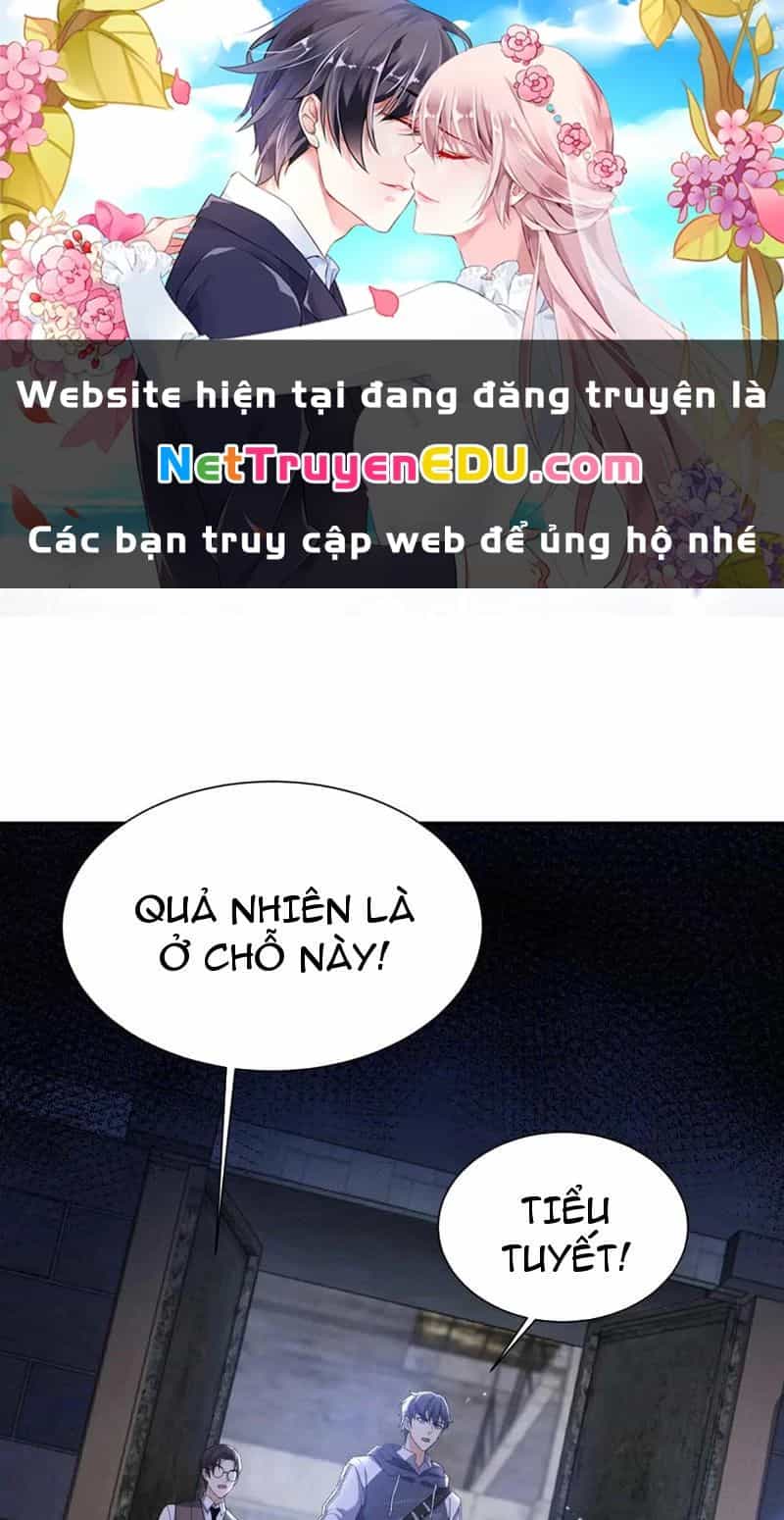 Sau Khi Sống Lại Ở Mạt Thế, Ta Điên Cuồng Thăng Cấp - Chương 35 - ảnh 18