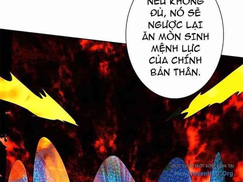 Sau Khi Sống Lại Ở Mạt Thế, Ta Điên Cuồng Thăng Cấp - Chương 62 - ảnh 142