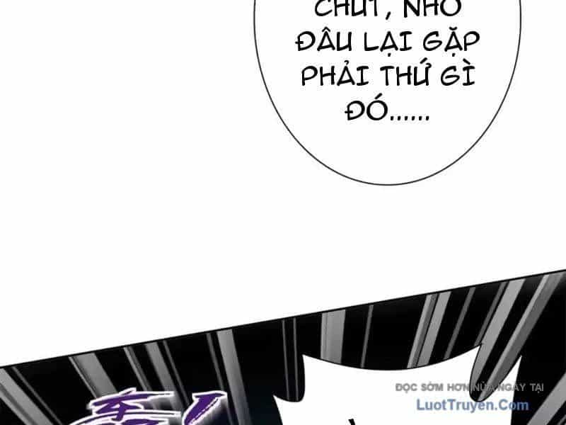 Sau Khi Sống Lại Ở Mạt Thế, Ta Điên Cuồng Thăng Cấp - Chương 71 - ảnh 53