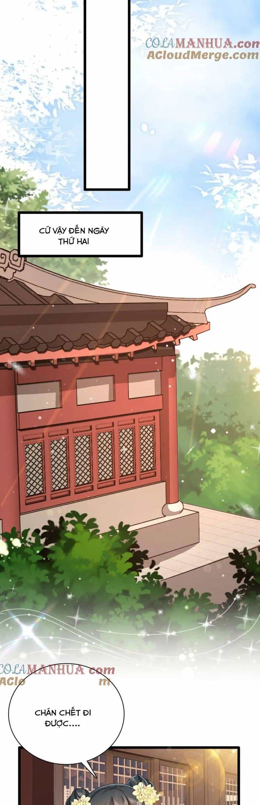 Sau Khi Sống Lại, Ta Trở Thành Kiều Thê Của Quyền Thần. - Chương 28 - ảnh 11