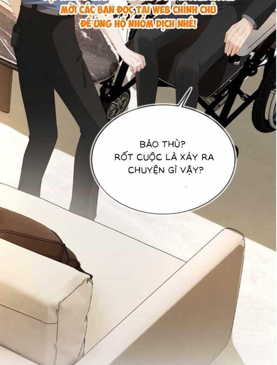 Sau Khi Trọng Sinh, Tôi Gả Cho Đại Lão Tàn Tật - Chương 11 - ảnh 20