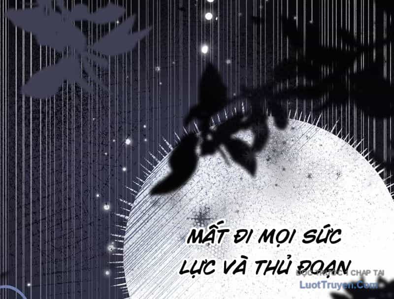 Sau Khi Xuyên Không Thành Thiên Kim Giả, Ta Lấy Lòng Thiên Kim Thật Sống Qua Ngày - Chương 10 - ảnh 156