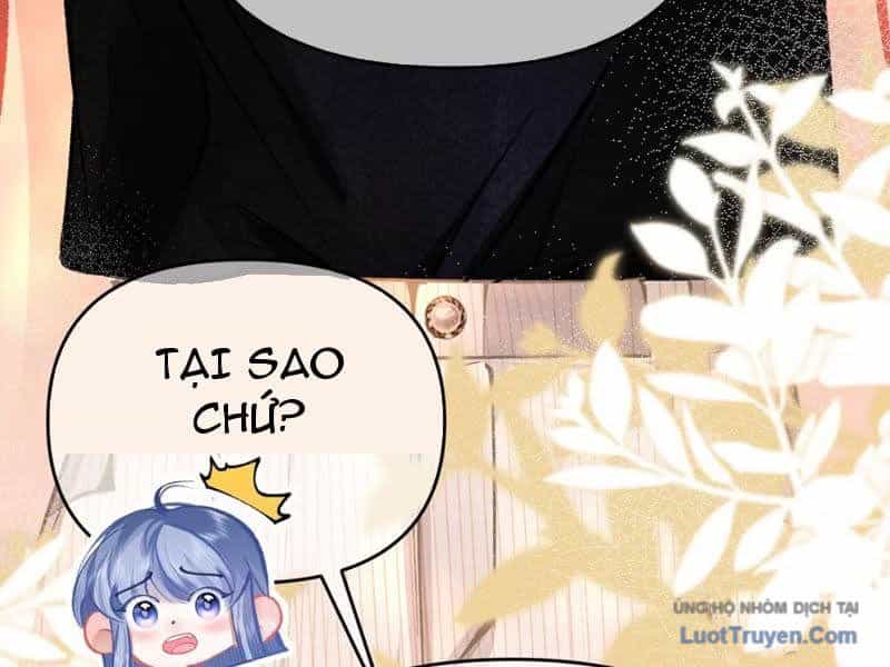 Sau Khi Xuyên Không Thành Thiên Kim Giả, Ta Lấy Lòng Thiên Kim Thật Sống Qua Ngày - Chương 3 - ảnh 120