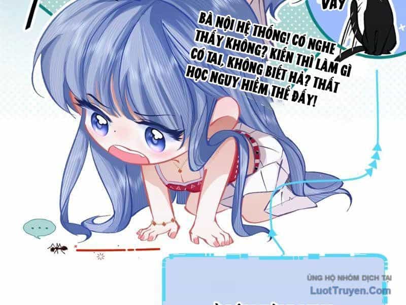Sau Khi Xuyên Không Thành Thiên Kim Giả, Ta Lấy Lòng Thiên Kim Thật Sống Qua Ngày - Chương 3 - ảnh 8