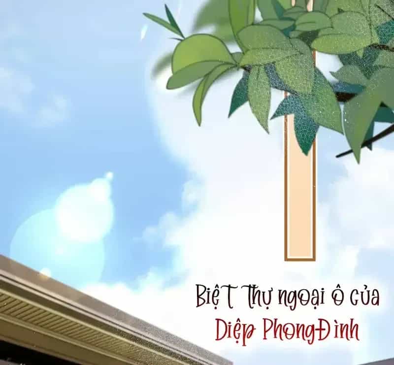 Sau Khi Xuyên Không Thành Thiên Kim Giả, Ta Lấy Lòng Thiên Kim Thật Sống Qua Ngày - Chương 33 - ảnh 39