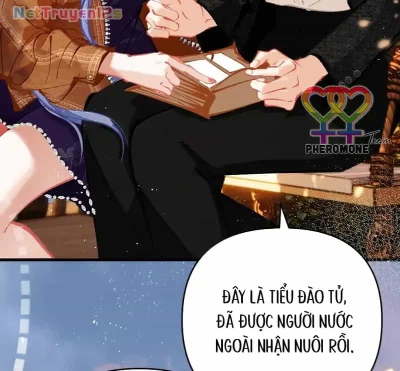 Sau Khi Xuyên Không Thành Thiên Kim Giả, Ta Lấy Lòng Thiên Kim Thật Sống Qua Ngày - Chương 39 - ảnh 12