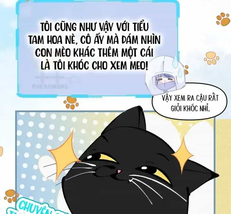 Sau Khi Xuyên Không Thành Thiên Kim Giả, Ta Lấy Lòng Thiên Kim Thật Sống Qua Ngày - Chương 42 - ảnh 22