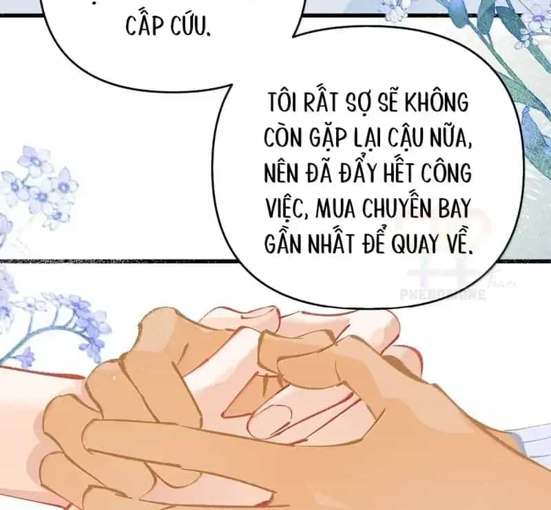 Sau Khi Xuyên Không Thành Thiên Kim Giả, Ta Lấy Lòng Thiên Kim Thật Sống Qua Ngày - Chương 45 - ảnh 7