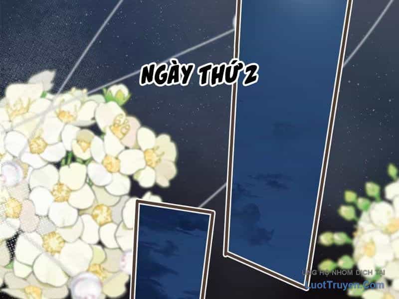Sau Khi Xuyên Không Thành Thiên Kim Giả, Ta Lấy Lòng Thiên Kim Thật Sống Qua Ngày - Chương 5 - ảnh 93
