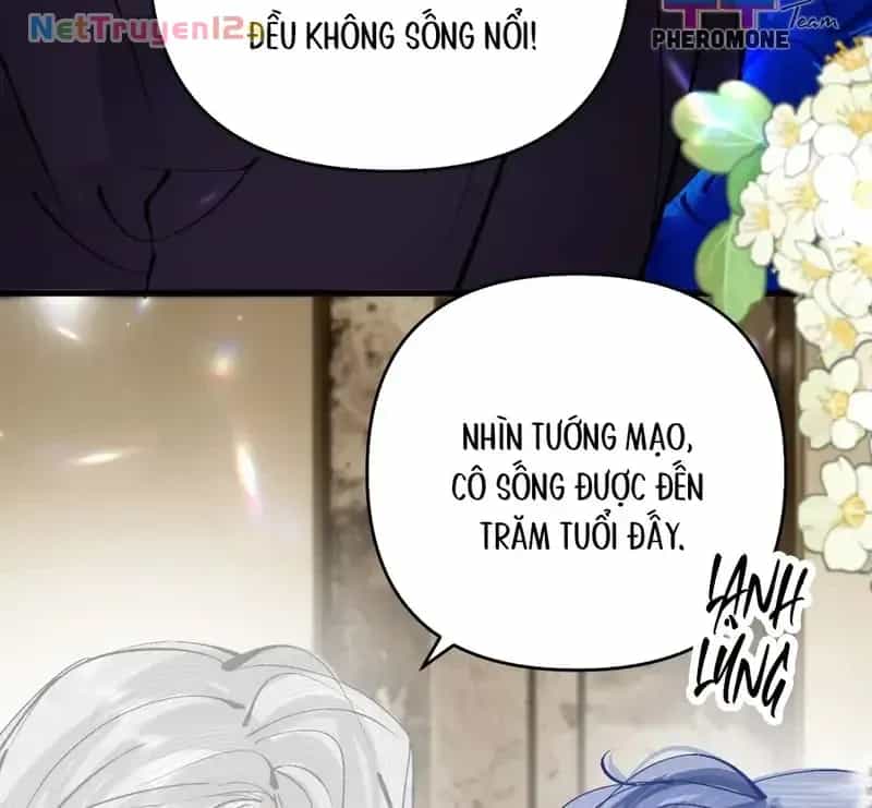 Sau Khi Xuyên Không Thành Thiên Kim Giả, Ta Lấy Lòng Thiên Kim Thật Sống Qua Ngày - Chương 50 - ảnh 56