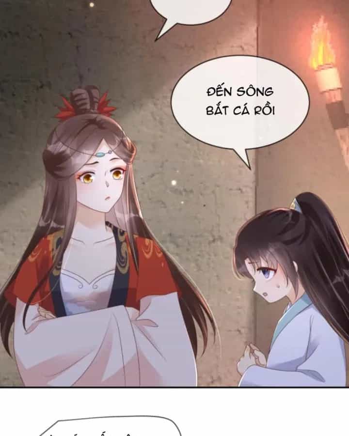Sau Khi Xuyên Sách, 5 Nhân Cách Của Bạo Quân Đều Yêu Ta - Chương 222 - ảnh 19