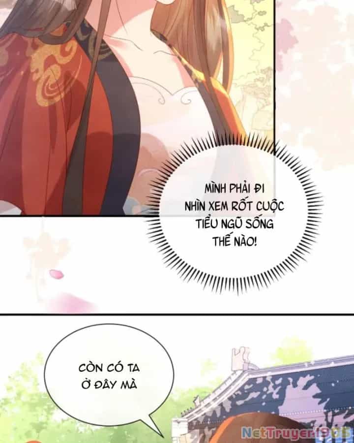 Sau Khi Xuyên Sách, 5 Nhân Cách Của Bạo Quân Đều Yêu Ta - Chương 231 - ảnh 10