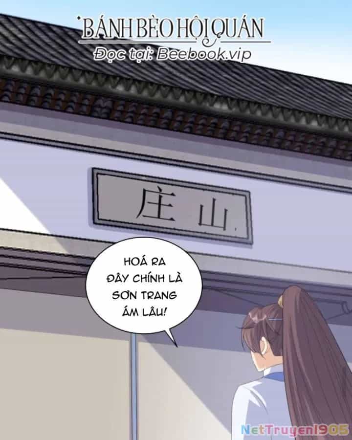 Sau Khi Xuyên Sách, 5 Nhân Cách Của Bạo Quân Đều Yêu Ta - Chương 234 - ảnh 4