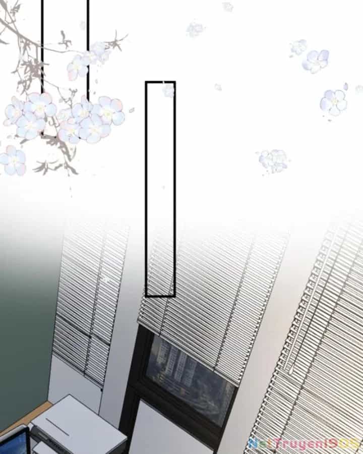 Sau Khi Xuyên Sách, 5 Nhân Cách Của Bạo Quân Đều Yêu Ta - Chương 270 - ảnh 26
