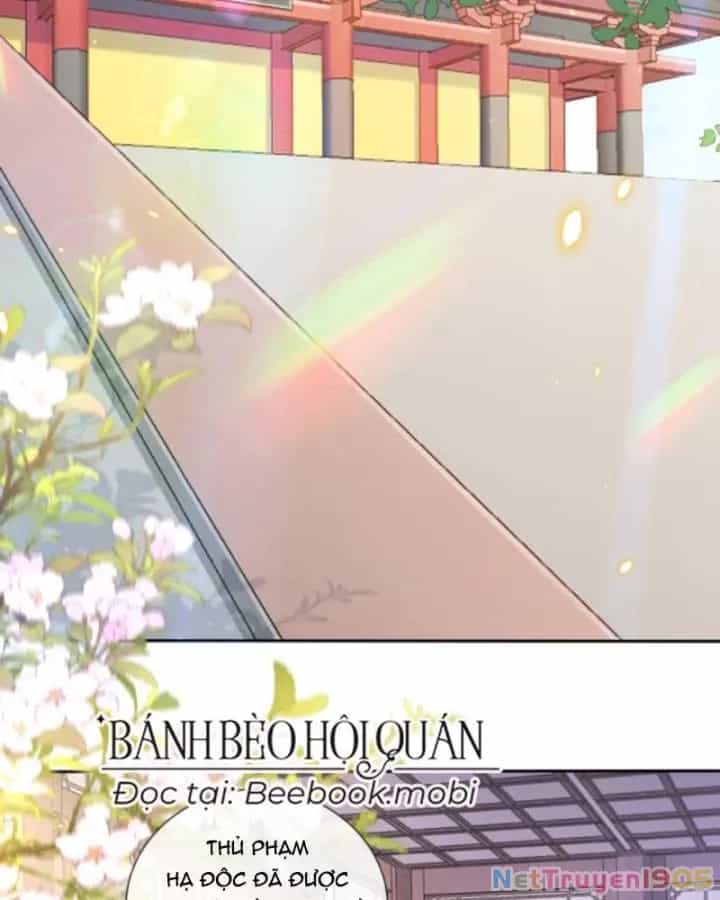 Sau Khi Xuyên Sách, 5 Nhân Cách Của Bạo Quân Đều Yêu Ta - Chương 89 - ảnh 28