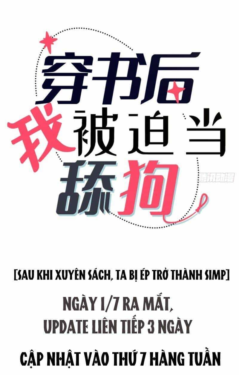 Sau Khi Xuyên Sách, Ta Bị Ép Trở Thành Simp - Chương 1 - ảnh 14