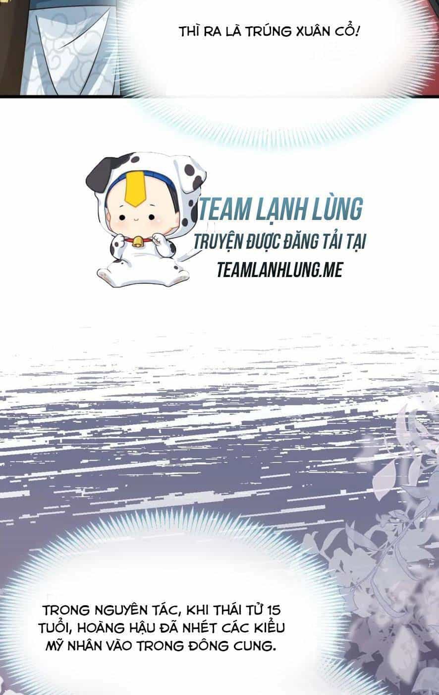 Sau Khi Xuyên Sách, Ta Bị Ép Trở Thành Simp - Chương 15 - ảnh 32