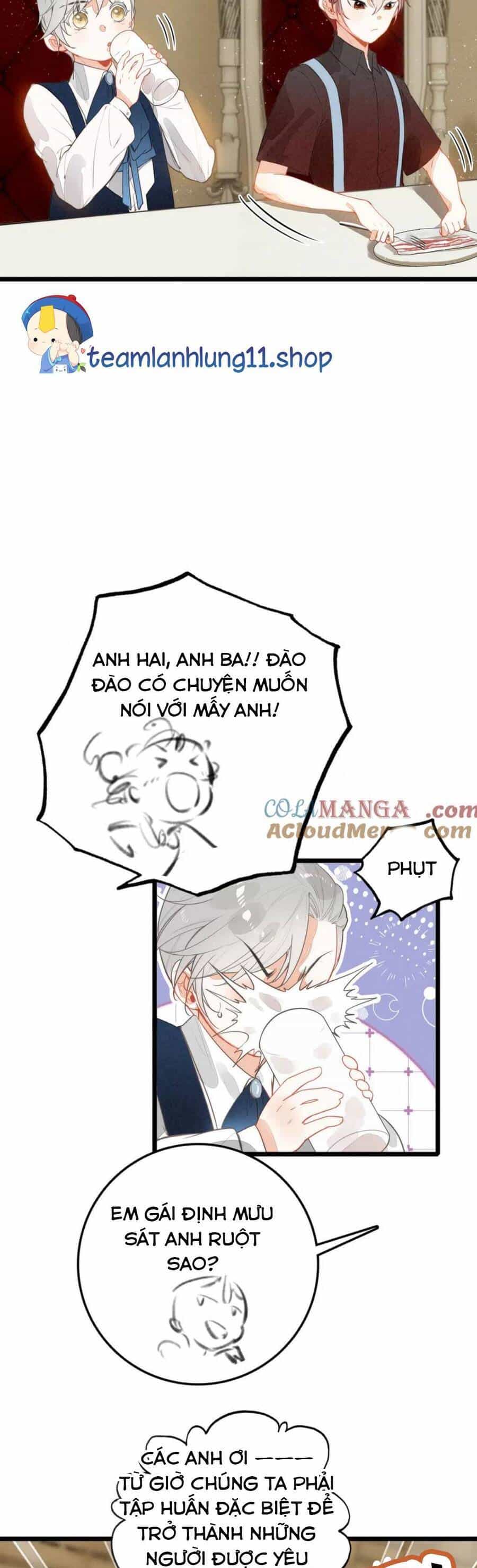 Sau Khi Xuyên Thành Tiểu Bảo Bảo , Cả Nhà Phản Diện Đều Muốn Giết Tôi! - Chương 17 - ảnh 11