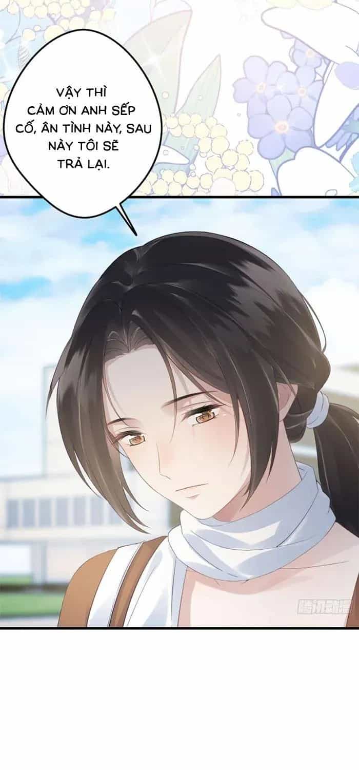 Sau Ly Hôn Chồng Cũ Cứ Muốn Trở Lại Làm Chính Thất - Chương 33 - ảnh 26