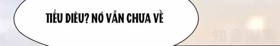 Sau Này Vẫn Cứ Thích Anh - Chương 46 - ảnh 43