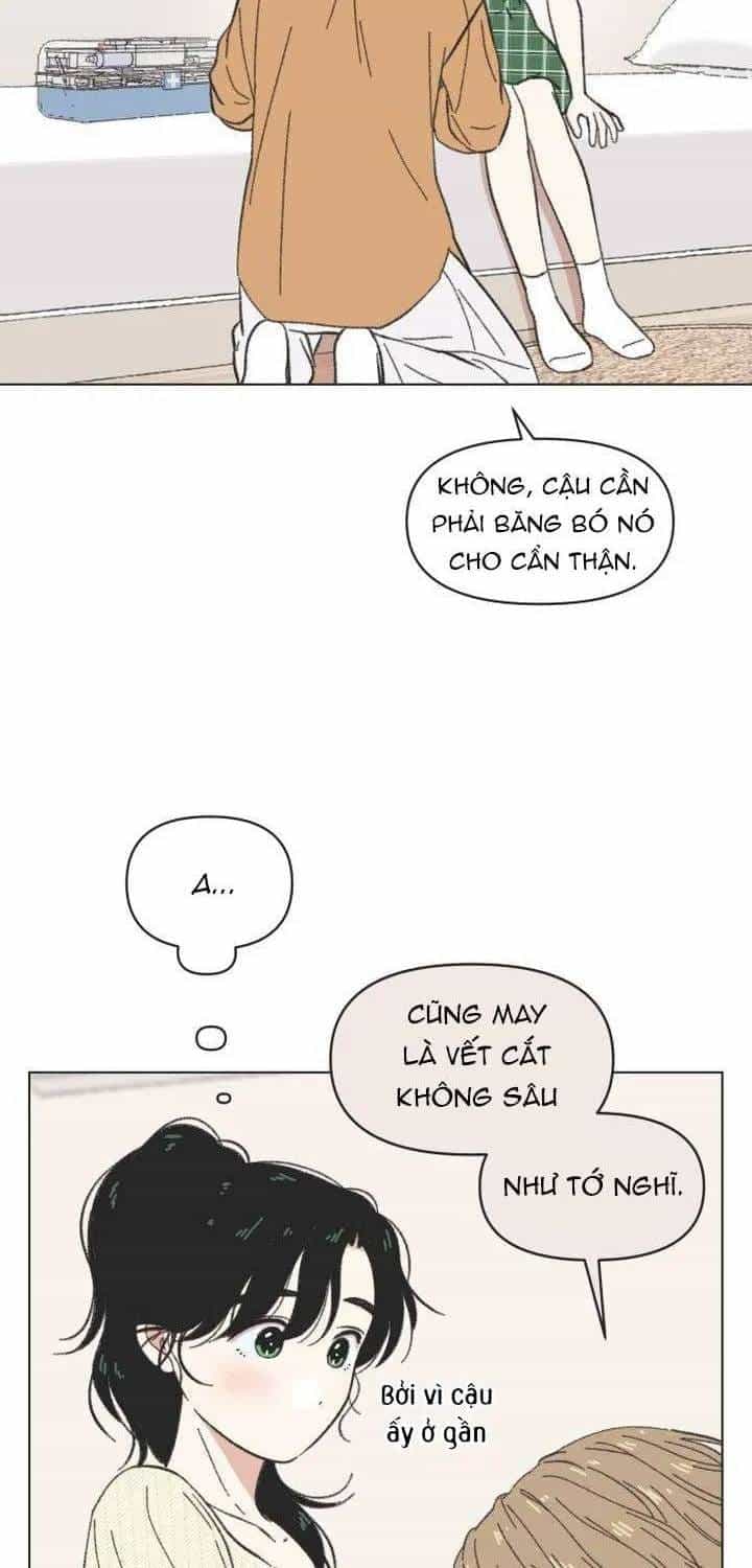 Seasons Of Lovesome - Chương 61 - ảnh 24