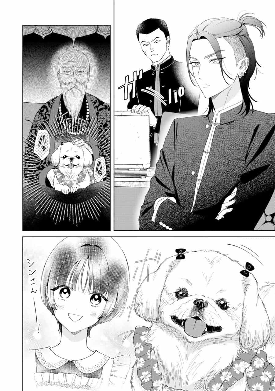 Sewayaki Mafia To Hakkou Shoujo - Chương 6 - ảnh 4
