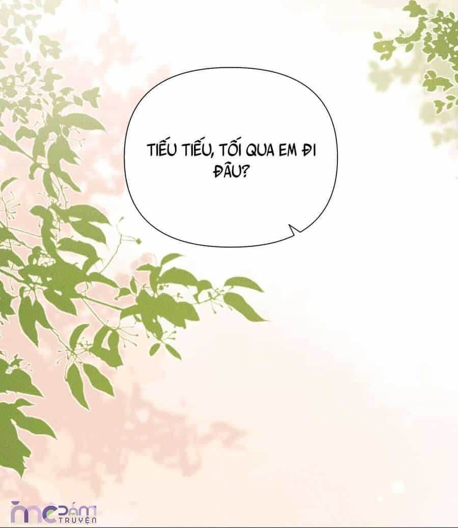 Siêu Cấp Cưng Chiều - Chương 16 - ảnh 37