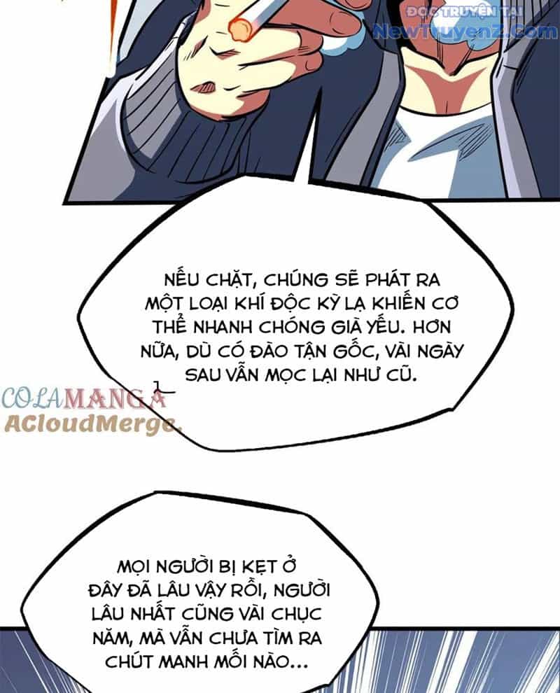Siêu Cấp Thần Cơ Nhân - Chương 354 - ảnh 41