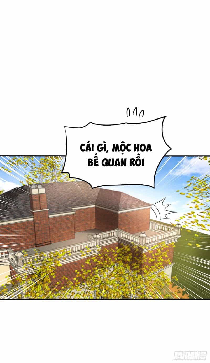 Siêu Cấp Thần Y Tại Đô Thị - Chương 135 - ảnh 30