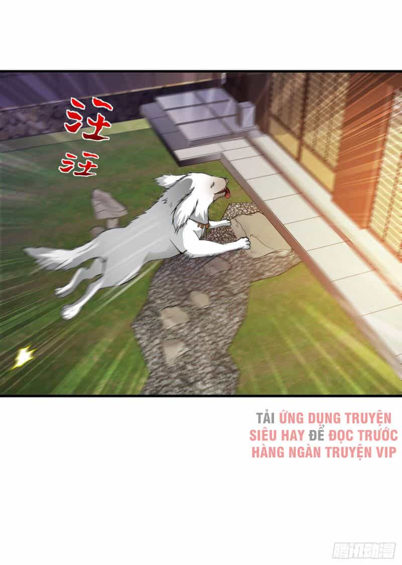 Siêu Cấp Thần Y Tại Đô Thị - Chương 171 - ảnh 27