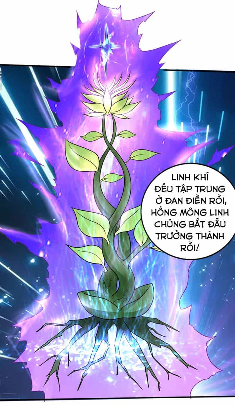 Siêu Cấp Thần Y Tại Đô Thị - Chương 231 - ảnh 2