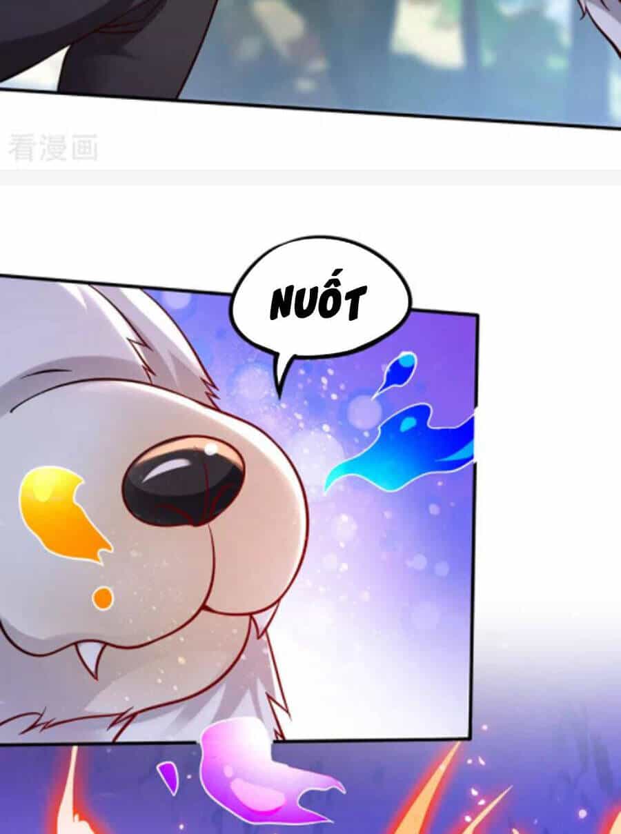 Siêu Cấp Thần Y Tại Đô Thị - Chương 246 - ảnh 19
