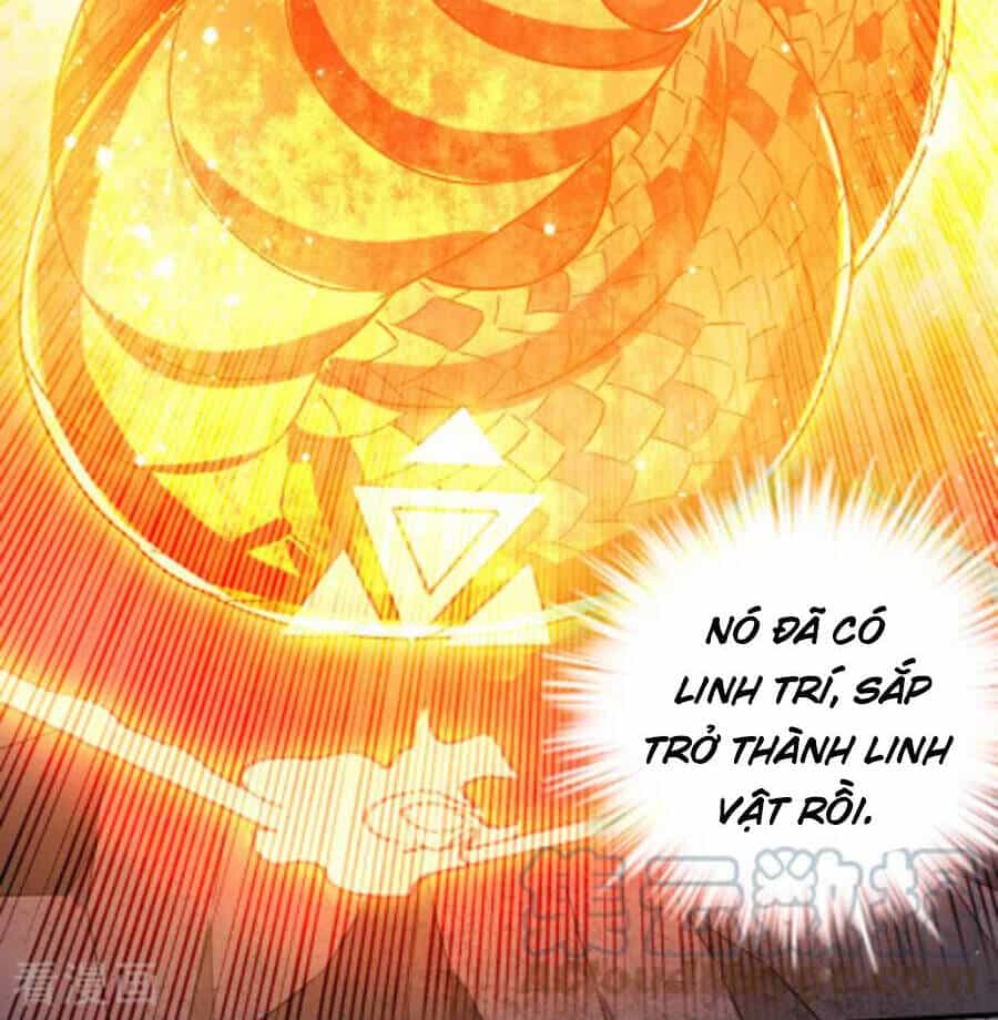 Siêu Cấp Thần Y Tại Đô Thị - Chương 251 - ảnh 6