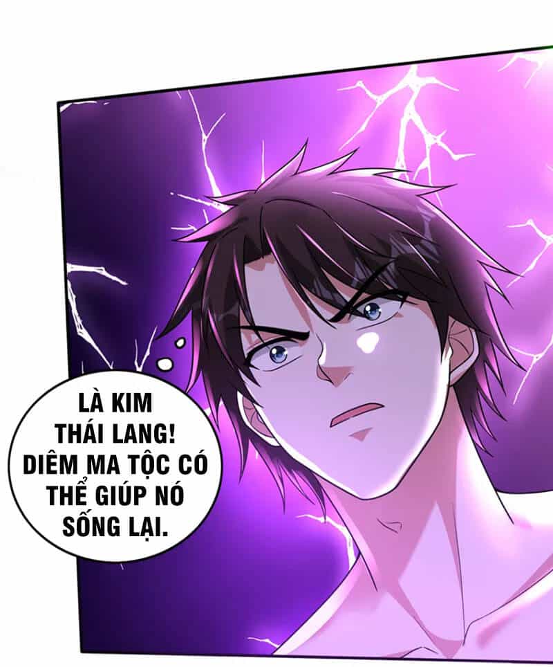 Siêu Cấp Thần Y Tại Đô Thị - Chương 264 - ảnh 27